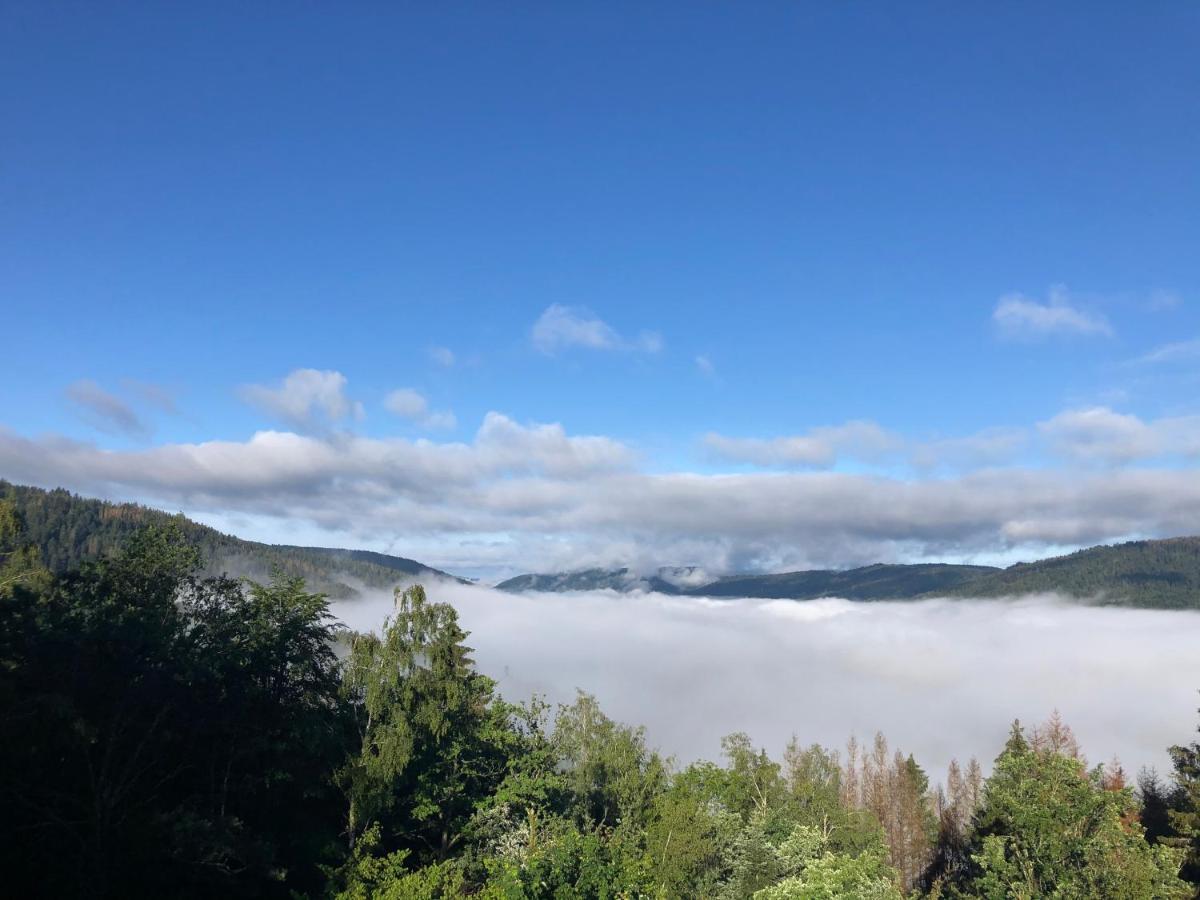Le Gite Cozy De Bouvacote Avec Vue Panoramique Et Sauna Le Tholy Zewnętrze zdjęcie