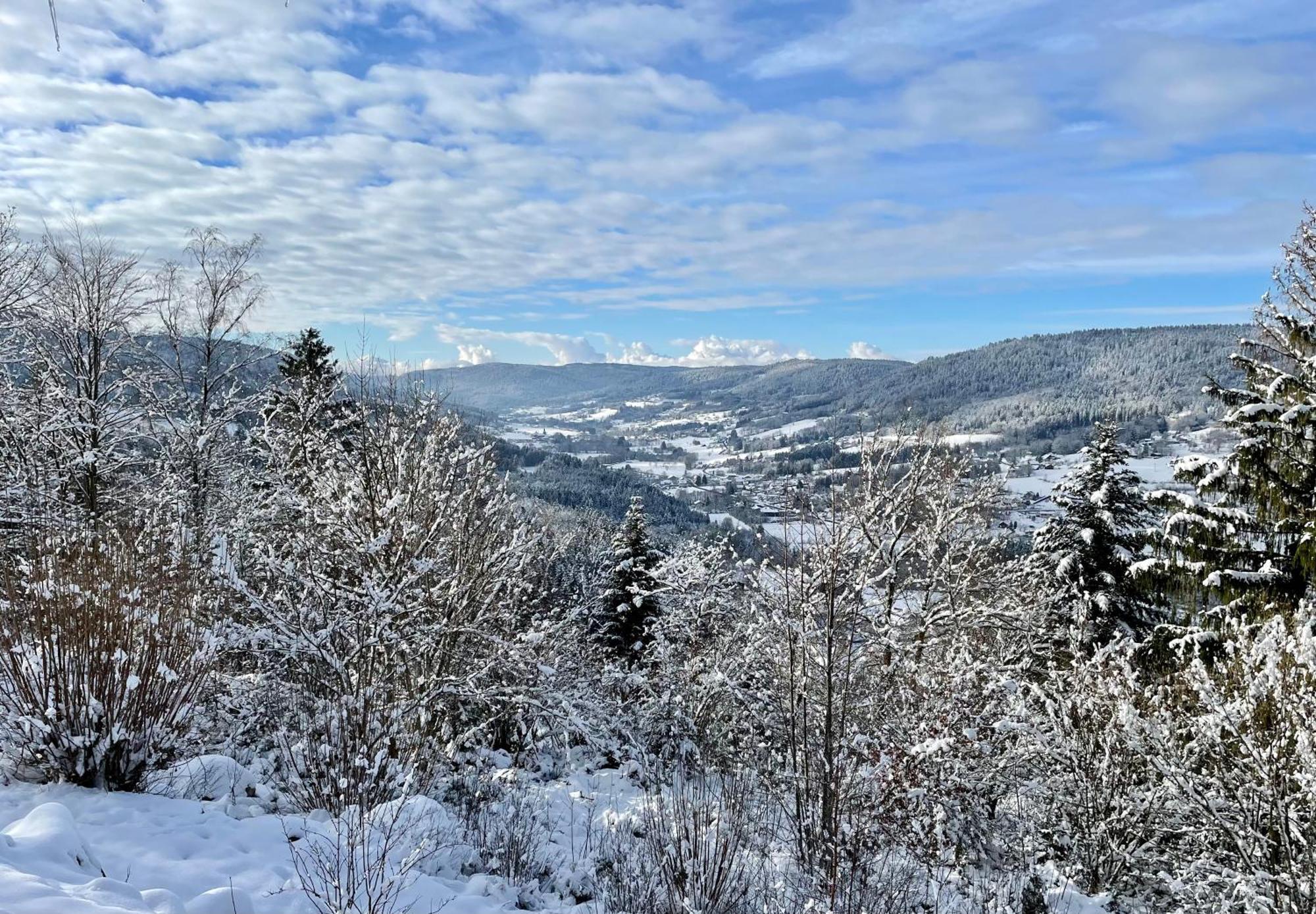 Le Gite Cozy De Bouvacote Avec Vue Panoramique Et Sauna Le Tholy Zewnętrze zdjęcie